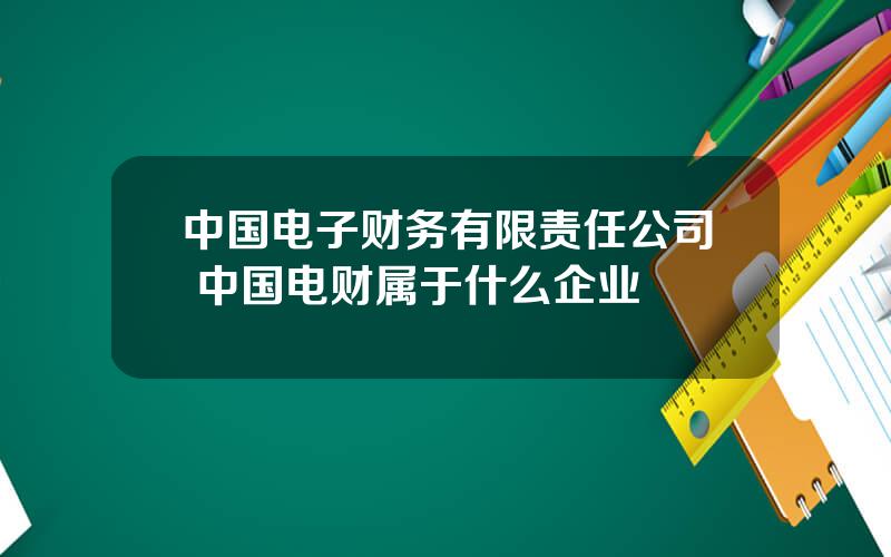 中国电子财务有限责任公司 中国电财属于什么企业